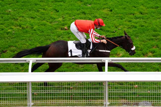 Photo d'arrivée de la course pmu PRIX DE NANTES à AUTEUIL le Jeudi 1 octobre 2020