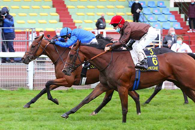 Photo d'arrivée de la course pmu PRIX ETOILE DE LA REINE à COMPIEGNE le Jeudi 1 octobre 2020
