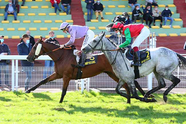 Photo d'arrivée de la course pmu PRIX DE CHAMPIGNOL à COMPIEGNE le Jeudi 1 octobre 2020
