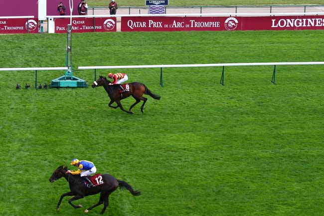 Photo d'arrivée de la course pmu QATAR PRIX DE ROYALLIEU à LONGCHAMP le Samedi 3 octobre 2020