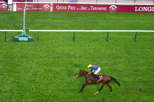 Photo d'arrivée de la course pmu QATAR GRAND HANDICAP DES JUMENTS à LONGCHAMP le Samedi 3 octobre 2020