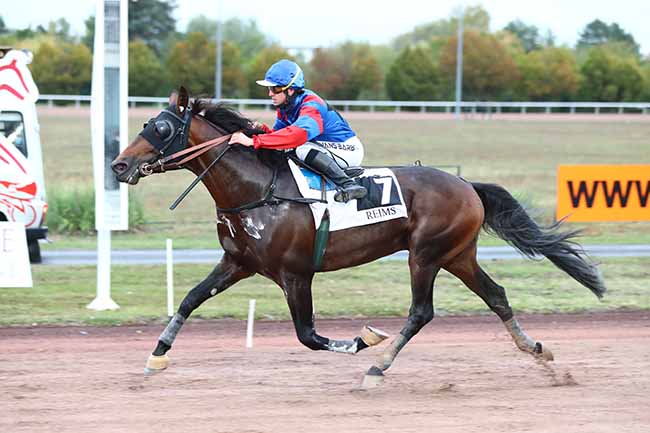 Photo d'arrivée de la course pmu PRIX DE L'HIPPODROME DE VESOUL à REIMS le Lundi 5 octobre 2020