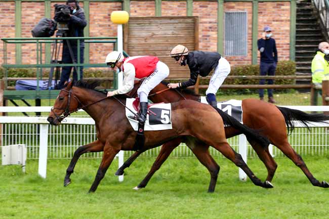 Photo d'arrivée de la course pmu PRIX DU ROCHER DE LA TORTUE à FONTAINEBLEAU le Lundi 5 octobre 2020