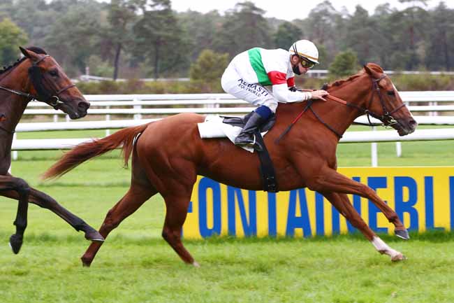 Photo d'arrivée de la course pmu PRIX DES GRANDS CERFS à FONTAINEBLEAU le Lundi 5 octobre 2020