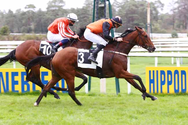 Photo d'arrivée de la course pmu PRIX DES BICHES à FONTAINEBLEAU le Lundi 5 octobre 2020