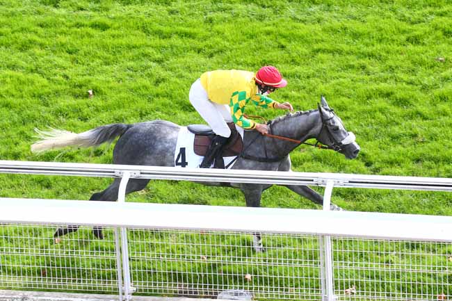 Photo d'arrivée de la course pmu PRIX FALZAREGO à AUTEUIL le Mercredi 7 octobre 2020