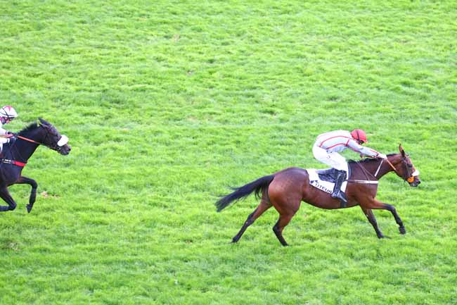 Photo d'arrivée de la course pmu PRIX PAUL'S CRAY à AUTEUIL le Mercredi 7 octobre 2020
