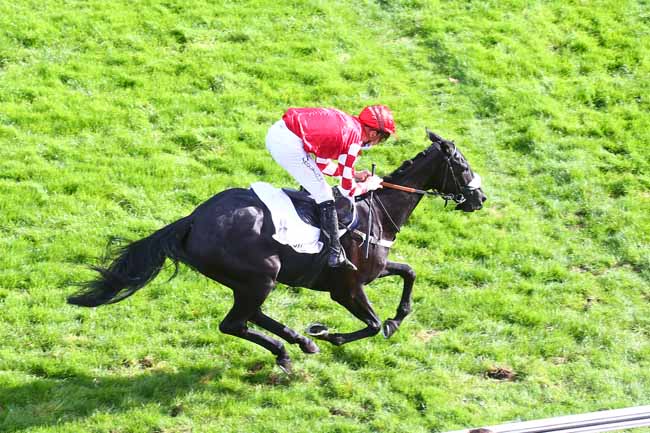 Photo d'arrivée de la course pmu PRIX JEAN SENS à AUTEUIL le Mercredi 7 octobre 2020