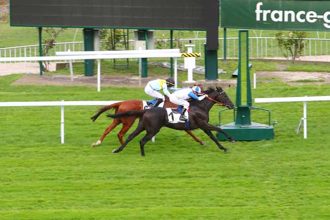 Photo d'arrivée de la course pmu PRIX VAL DE LOIRE à SAINT-CLOUD le Jeudi 8 octobre 2020