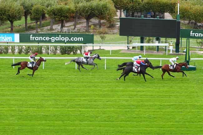 Photo d'arrivée de la course pmu PRIX HERVINE à SAINT-CLOUD le Jeudi 8 octobre 2020