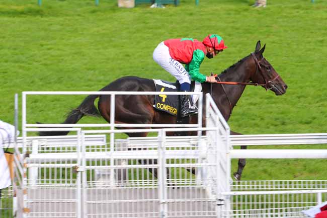 Photo d'arrivée de la course pmu PRIX DE SAINT-CREPIN à COMPIEGNE le Vendredi 9 octobre 2020