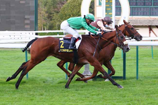 Photo d'arrivée de la course pmu PRIX DE MORIENVAL à COMPIEGNE le Vendredi 9 octobre 2020