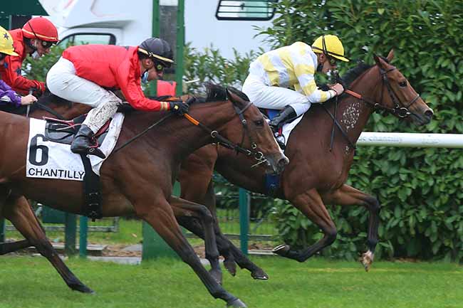 Photo d'arrivée de la course pmu PRIX DES TERROIRS DE FRANCE à CHANTILLY le Mardi 13 octobre 2020