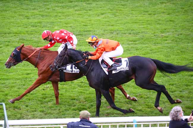 Photo d'arrivée de la course pmu PRIX DE LABRUYERE à CHANTILLY le Mardi 13 octobre 2020