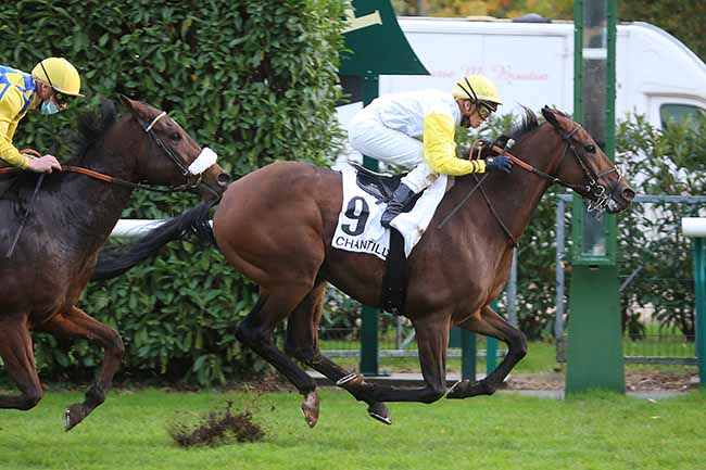 Photo d'arrivée de la course pmu PRIX DU ROI DES MANUSCRITS à CHANTILLY le Mardi 13 octobre 2020