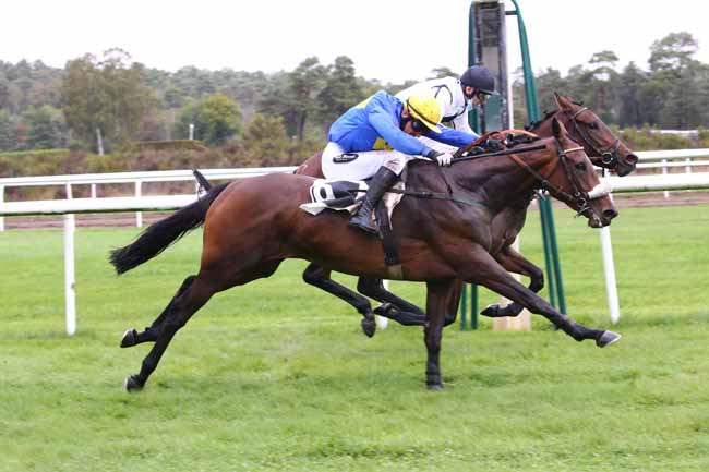 Photo d'arrivée de la course pmu PRIX DE LA TABLE DU ROI à FONTAINEBLEAU le Mardi 13 octobre 2020