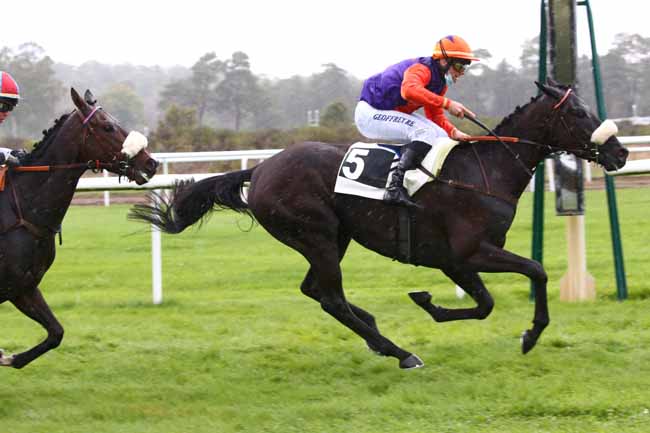 Photo d'arrivée de la course pmu PRIX DES GENETS à FONTAINEBLEAU le Mardi 13 octobre 2020