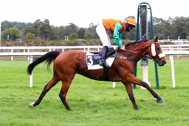 Photo d'arrivée de la course pmu PRIX DU GRAND PARQUET à FONTAINEBLEAU le Mardi 13 octobre 2020