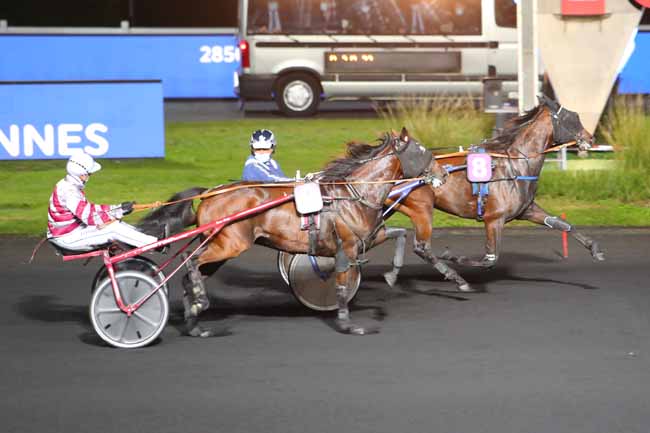 Photo d'arrivée de la course pmu PRIX ALGINA à PARIS-VINCENNES le Mardi 13 octobre 2020