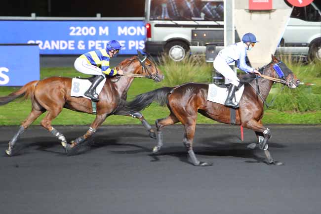 Photo d'arrivée de la course pmu PRIX EUTERPE à PARIS-VINCENNES le Mardi 13 octobre 2020