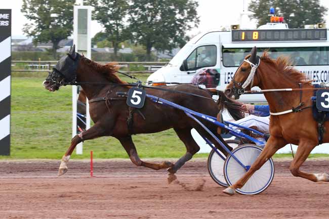 Photo d'arrivée de la course pmu PRIX SYSTEME U à ANGERS le Mercredi 14 octobre 2020