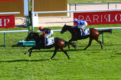 Photo d'arrivée de la course pmu PRIX DE LA CHAPELLE à LONGCHAMP le Jeudi 15 octobre 2020