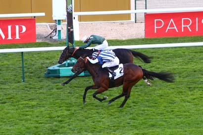 Photo d'arrivée de la course pmu PRIX DE LA BRECHE-AUX-LOUPS à LONGCHAMP le Jeudi 15 octobre 2020