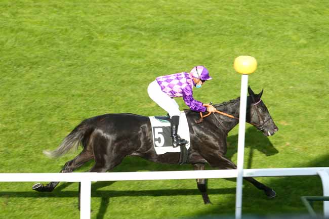 Photo d'arrivée de la course pmu PRIX DE BILLY à FONTAINEBLEAU le Vendredi 16 octobre 2020