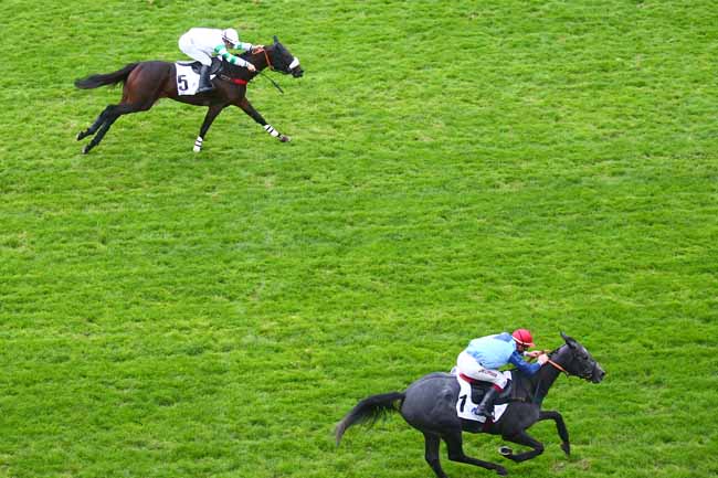 Photo d'arrivée de la course pmu PRIX HARAS D'ETREHAM - PRIX MAGNE à AUTEUIL le Samedi 17 octobre 2020