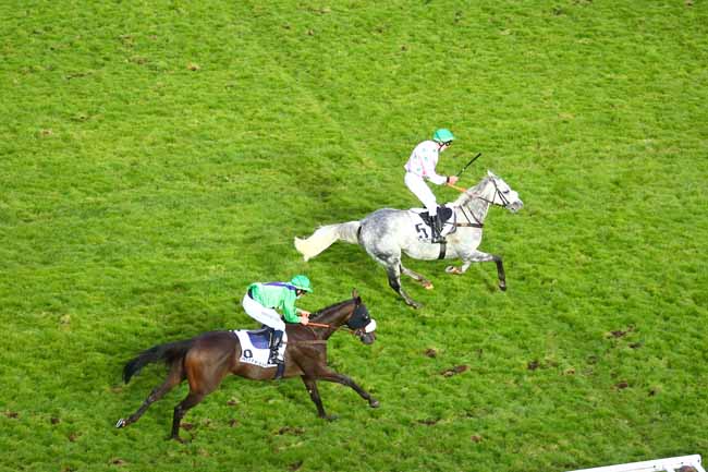 Photo d'arrivée de la course pmu PRIX MISS HUNGERFORD à AUTEUIL le Dimanche 18 octobre 2020