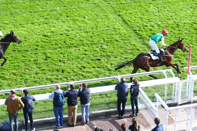 Photo d'arrivée de la course pmu PRIX PRINCE D'ECOUEN à AUTEUIL le Dimanche 18 octobre 2020