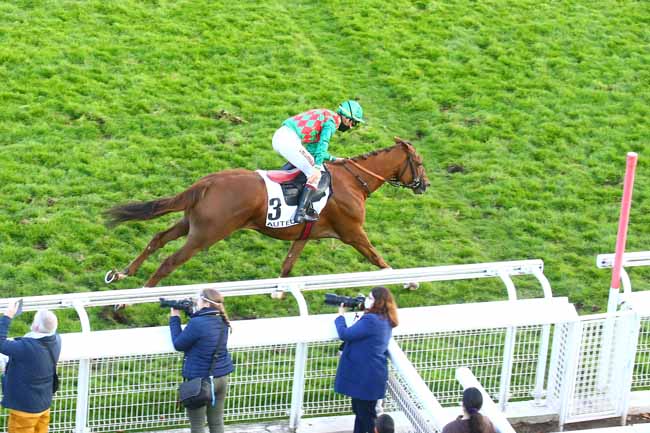 Photo d'arrivée de la course pmu PRIX PIERRE DE LASSUS à AUTEUIL le Dimanche 18 octobre 2020