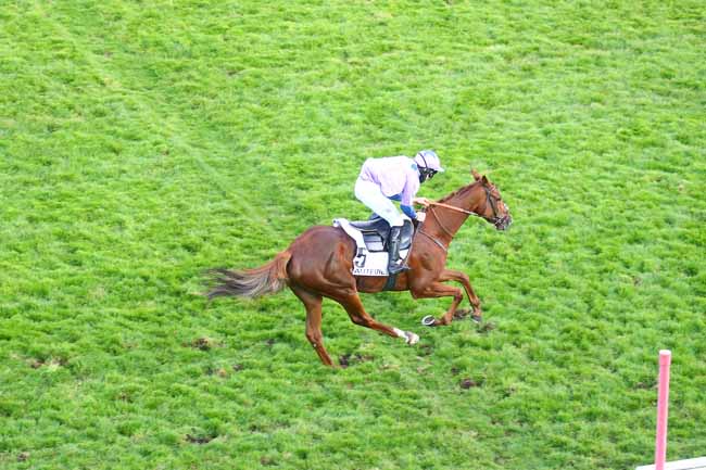 Photo d'arrivée de la course pmu PRIX ROGER SOULANGE-BODIN à AUTEUIL le Dimanche 18 octobre 2020