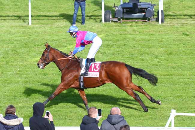 Photo d'arrivée de la course pmu PRIX DE LA MARE A TOUQUES à CLAIREFONTAINE le Lundi 19 octobre 2020