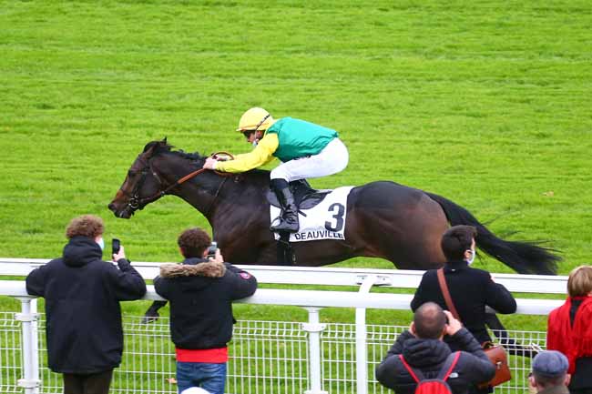 Photo d'arrivée de la course pmu PRIX ZEDDAAN à DEAUVILLE le Mardi 20 octobre 2020