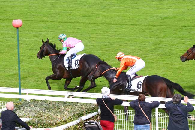 Photo d'arrivée de la course pmu PRIX D'AMFREVILLE à DEAUVILLE le Mardi 20 octobre 2020