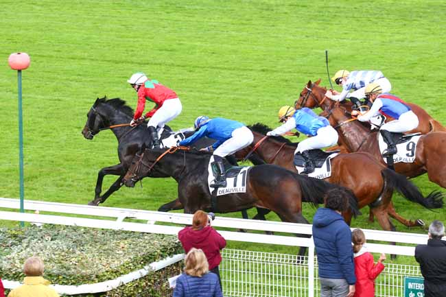 Photo d'arrivée de la course pmu PRIX DES ARCADES à DEAUVILLE le Mardi 20 octobre 2020
