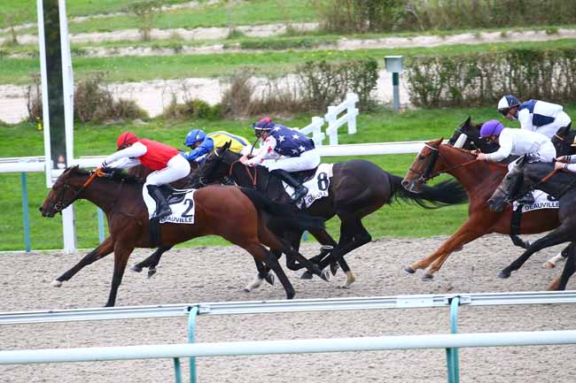Photo d'arrivée de la course pmu PRIX D'AUBIGNY à DEAUVILLE le Mardi 20 octobre 2020