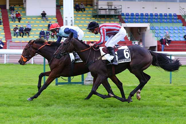 Photo d'arrivée de la course pmu PRIX VATALYS à COMPIEGNE le Mardi 20 octobre 2020