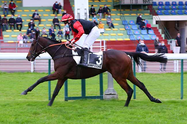 Photo d'arrivée de la course pmu PRIX ELISA à COMPIEGNE le Mardi 20 octobre 2020