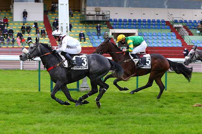 Photo d'arrivée de la course pmu PRIX DE BOURGES à COMPIEGNE le Mardi 20 octobre 2020