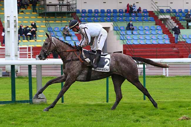 Photo d'arrivée de la course pmu PRIX LOGGIA à COMPIEGNE le Mardi 20 octobre 2020