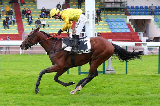 Photo d'arrivée de la course pmu PRIX DOMINIQUE SARTINI à COMPIEGNE le Mardi 20 octobre 2020
