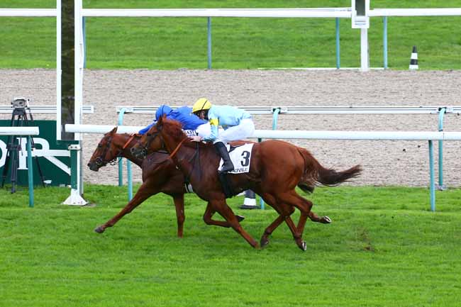 Photo d'arrivée de la course pmu PRIX ISONOMY à DEAUVILLE le Mercredi 21 octobre 2020