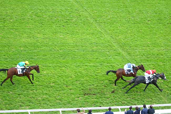 Photo d'arrivée de la course pmu PRIX LUSIGNAN à AUTEUIL le Jeudi 22 octobre 2020
