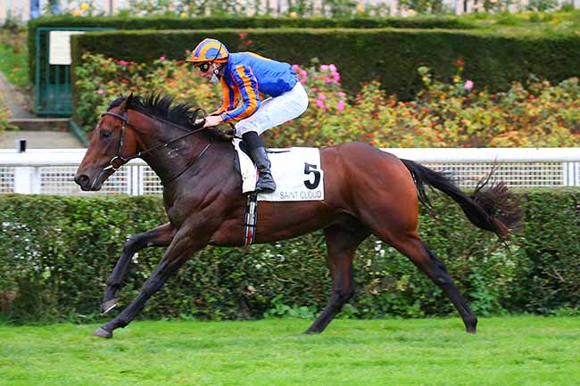 Photo d'arrivée de la course pmu CRITERIUM INTERNATIONAL à SAINT-CLOUD le Samedi 24 octobre 2020