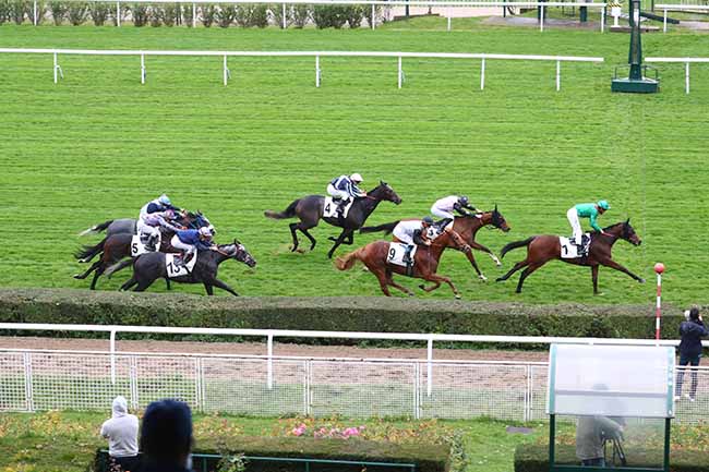 Photo d'arrivée de la course pmu PRIX DE SAINT-PAIR-DU-MONT à SAINT-CLOUD le Samedi 24 octobre 2020