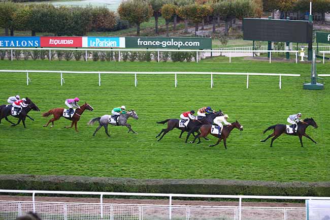 Photo d'arrivée de la course pmu PRIX DE SAINT-MARTIN-DU-CHENE à SAINT-CLOUD le Samedi 24 octobre 2020