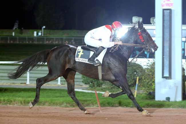 Photo d'arrivée de la course pmu PRIX DE LA MUETTE à ENGHIEN le Samedi 24 octobre 2020