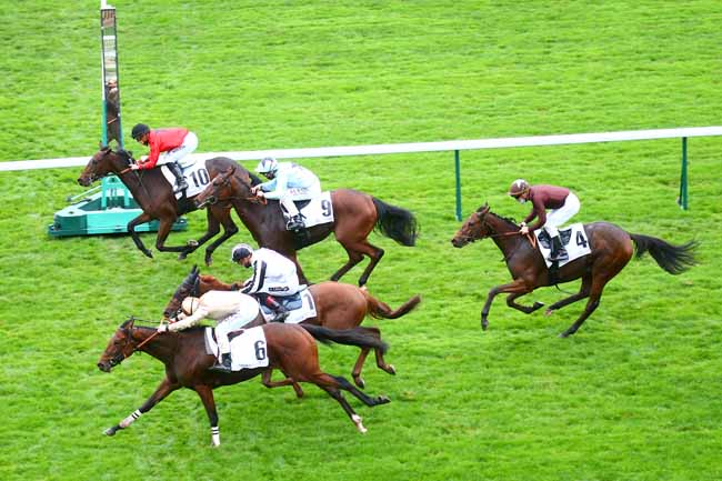 Photo d'arrivée de la course pmu PRIX DU PARC DES PRINCES à LONGCHAMP le Dimanche 25 octobre 2020